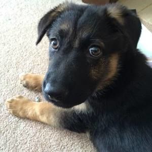 Meet your Posher, Joanne